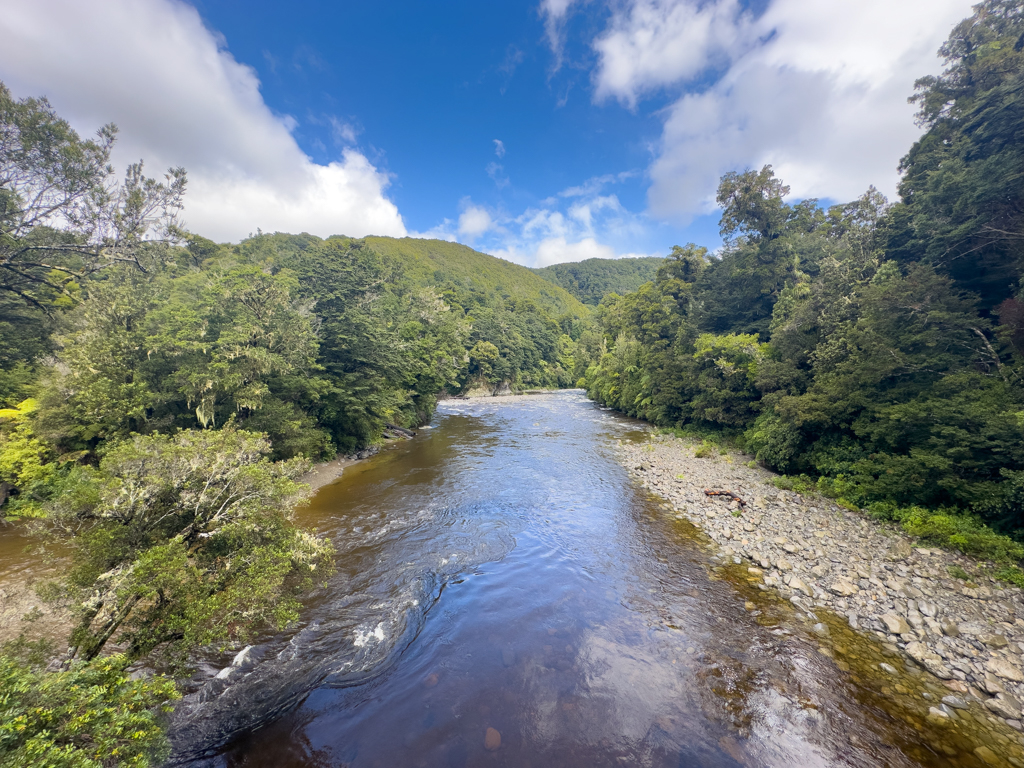 Schnell fliesst der Pakuratahi River durch die grüne Landschaft