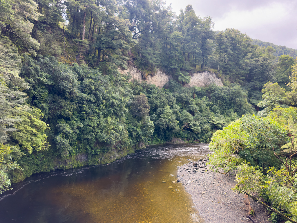 Tief hat sich der Pakuratahi River in die grüne Landschaft eingeschnitten