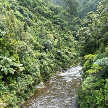 Rivendell / Bruchtal im Kaitoke Regional Park