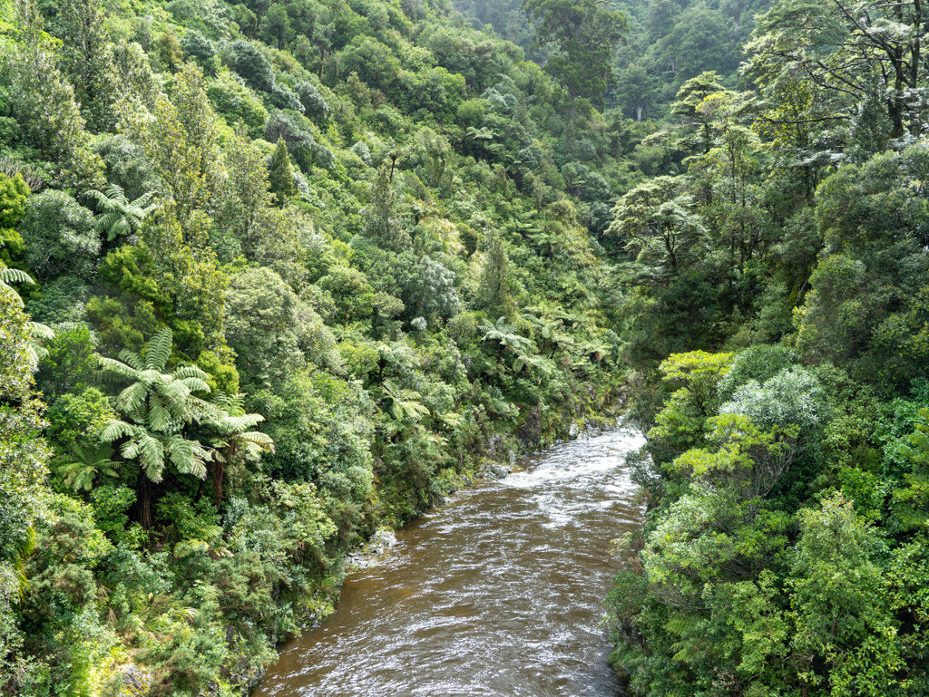 Tief hat sich der Pakuratahi River in die grüne Landschaft eingeschnitten