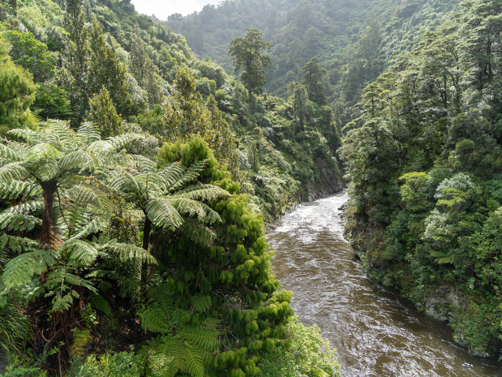 Tief hat sich der Pakuratahi River in die grüne Landschaft eingeschnitten