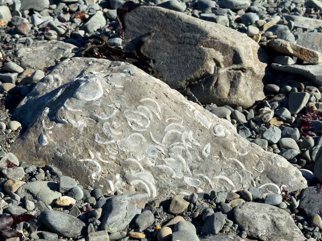 Auch hier ist Muschelkalk zu finden
