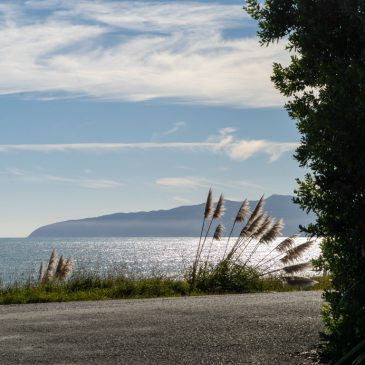 Putangirua Pinnacles Scenic Reserve