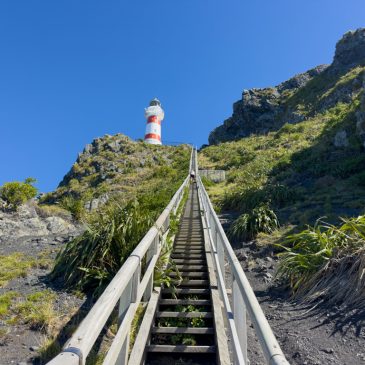 Cape Palliser Leuchtturm – südlichster Punkt der Nordinsel