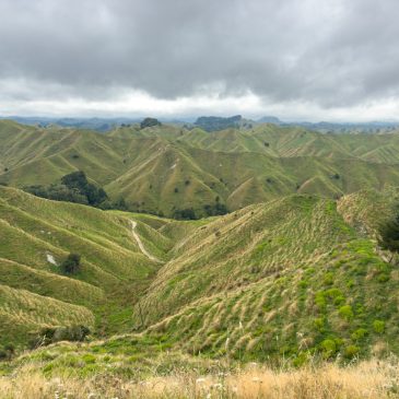 Via Forgotton World Highway zum Tongariro N.P.