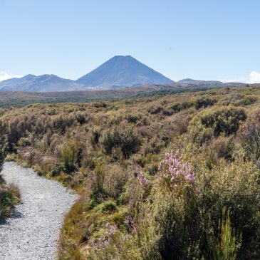 Tongariro Nationalpark
