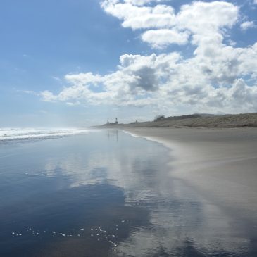 Sonniger Sonntag im Muriwai Regional Park
