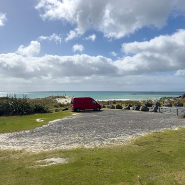 Muusbeiallei in Te Ārai