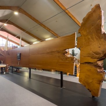 Matakohe: Kauri Museum