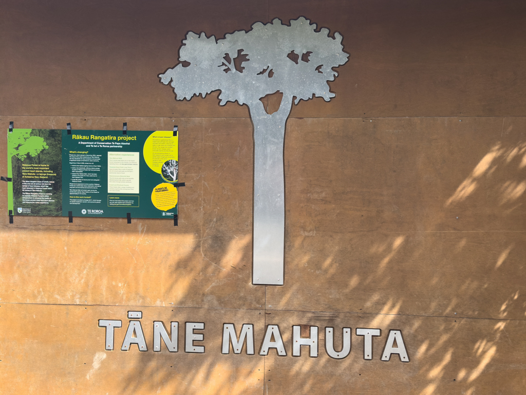 Am Eingang zum kleinen Rundgang zum grossen Tāne Mahuta