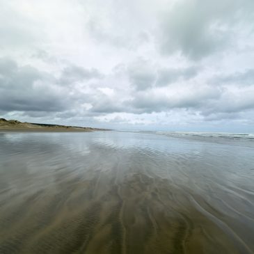 Ninety Mile Beach