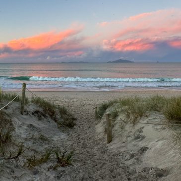 Licht-Reparatur und WoF-Test in Whangarei