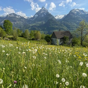 Welcome Back in Switzerland